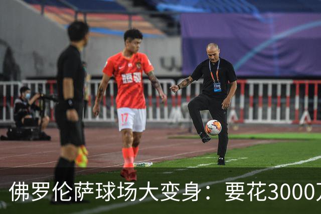佛罗伦萨球场大变身：要花3000万就像给老房子换新窗帘