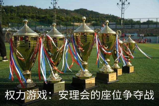 权力游戏：安理会的座位争夺战